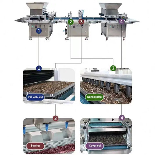 Automated Nursery Equipment for Vegetable and Flower Seedlings Complete Production Line With Intelligent Seeding System