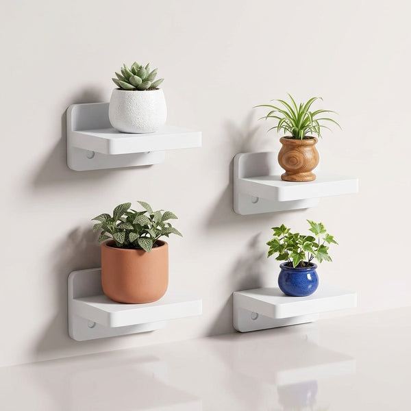 Vertical display built for small plants